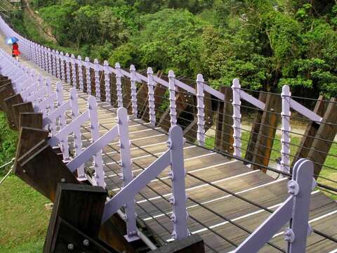 白石湖吊橋像是一尾巨龍飛越山谷間。（劉克襄攝）