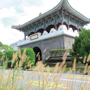 南門夏日風情與狗尾草迎風搖曳。(李立忠攝)