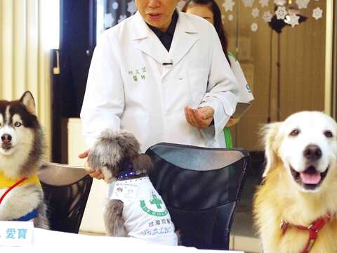 流浪毛小孩摘星計畫與「台灣狗醫生協會」合作,從動物之家篩選個性適合進入家庭並具有潛在特質可以成為狗醫生的流浪犬。(圖/台北市動物保護處提供)