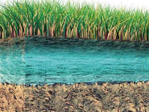 砂石下沉,地下水上浮導致土壤液化,進而失去承載力