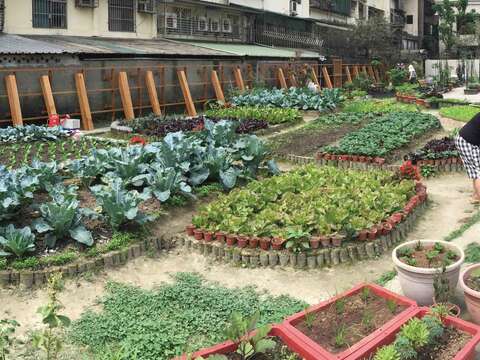 鵬程里的快樂農園是松山區第一個落實公民參與的田園基地。(圖/台北市政府工務局公園路燈工程管理處提供)