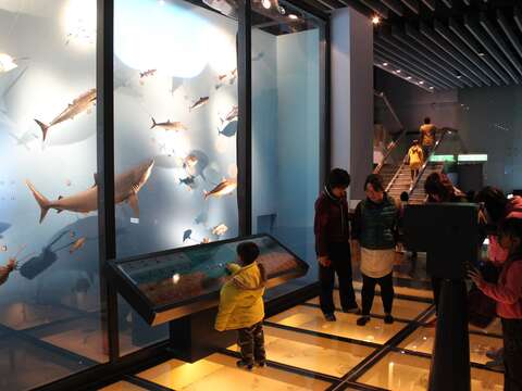 國立海洋科技博物館主題館以海洋為中心推廣展示教育(圖片來源：臺北市立動物園)