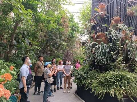 活動前帶大家認識蕨類植物。(圖片來源：臺北市政府工務局公園路燈工程管理處)