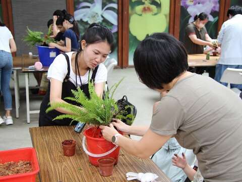 大家都挑了喜歡的盆栽開始製作！(圖片來源：臺北市政府工務局公園路燈工程管理處)