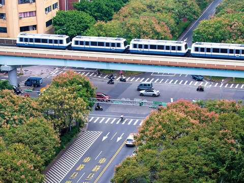 G3-3_1041019敦化南路欒樹_潘俊霖攝 (12.jpg