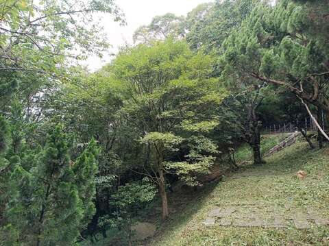 閻錫山墓墓園花木扶疏可見「種能」兩字(圖片來源：臺北市政府工務局公園路燈工程管理處)