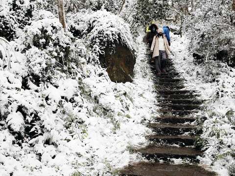 台北下雪了，中正山的雪景美不勝收。（楊智仁攝）