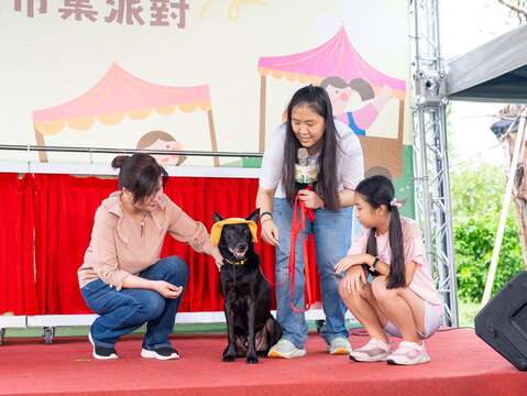 訓犬師帶領副局長與小朋友為待認養犬隻裝扮及學習正確配戴胸背帶及牽繩並一同走秀(圖片來源：臺北市動物保護處)