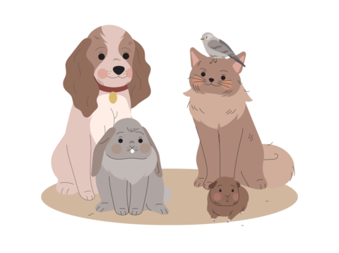 動物