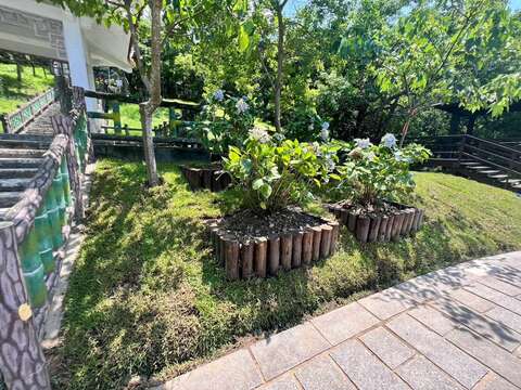 疏伐後造林綠美化(圖片來源：臺北市政府工務局大地工程處)