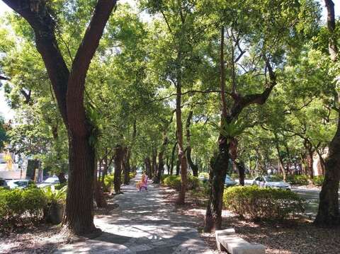 樹木成蔭成為市民最喜愛道路，濃密的林木，既降低了噪音、減少了塵埃，更成為市民休閑生活、舒緩身心的最佳的場所(圖片來源：臺北市政府工務局公園路燈工程管理處)
