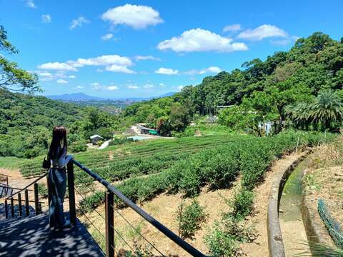 貓空水土保持園區梯田景色(圖片來源：臺北市政府工務局大地工程處)