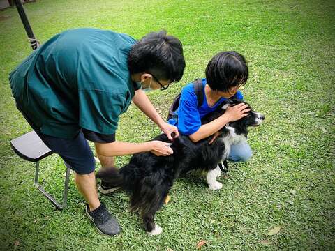 動保處提醒毛爸媽每年為家中犬貓完成狂犬病疫苗補強(圖片來源：臺北市動物保護處)