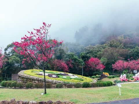 台北「5大人気観光スポット」発表！ 