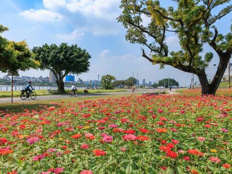 北市首波河濱花海就在河雙21號河濱公園(圖片來源：臺北市政府工務局水利工程處)