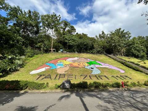 主軸步道上鄰近熱帶雨林區的花坡，有動物園建園110周年園慶的13物種布置。(圖片來源：臺北市立動物園)