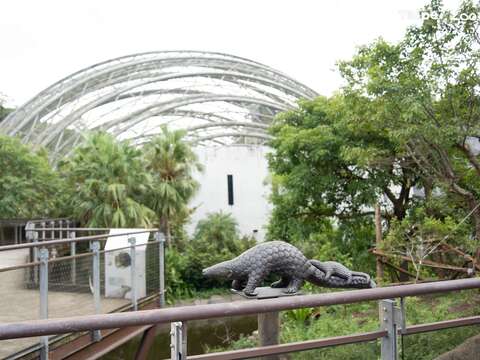 熱帶雨林館周遭原先就有好幾隻穿山甲雕塑，發揮好眼力找找牠們在哪裡！(圖片來源：臺北市立動物園)