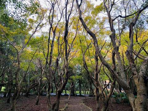 園區一景(圖片來源：臺北市政府工務局公園路燈工程管理處)