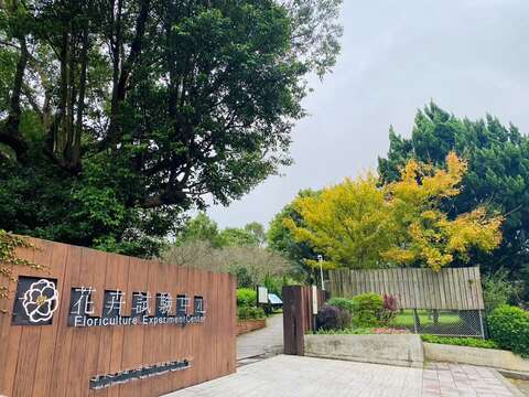 園區入口黃楓(圖片來源：臺北市政府工務局公園路燈工程管理處)