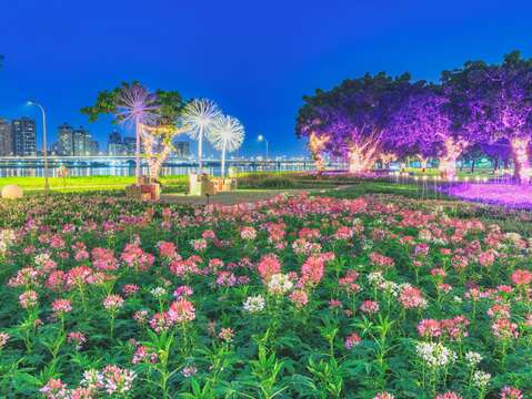 延平河濱花海 草地上鋪設紫藍色系的草網燈增加夜間浪漫氛圍(圖片來源：臺北市政府工務局水利工程處)