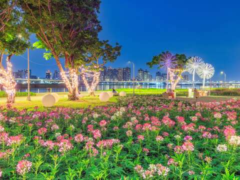 延平河濱花海 夜間燈光一路延伸到草地上 超浪漫(圖片來源：臺北市政府工務局水利工程處)