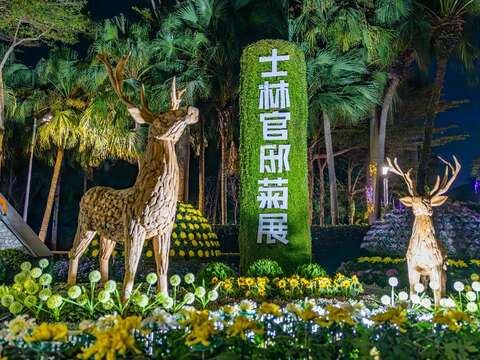 夜晚椰纖狐狸在以花卉布置而成的田野條帶中嬉戲，別有氛圍(圖片來源：臺北市政府工務局公園路燈工程管理處)