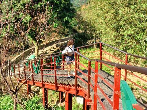 麗山橋口步道可以感受濃濃的山林生態氣息(圖片來源：臺北市政府工務局大地工程處)