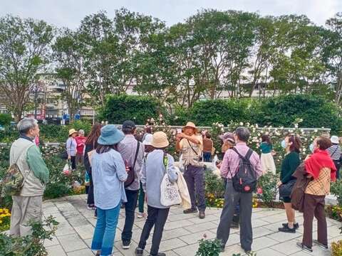 臺北玫瑰園志工於玫瑰展進行園區導覽。(圖片來源:臺北市政府工務局公園路燈工程管理處)