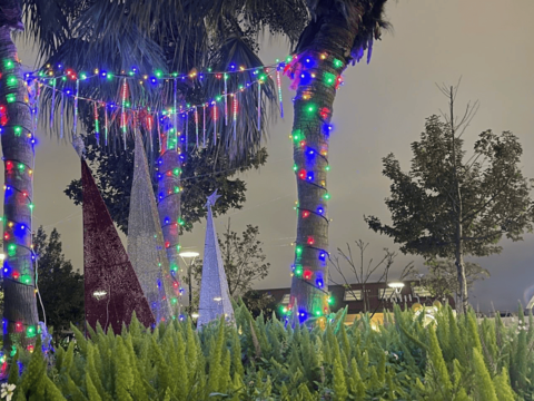 迪化休閒運動公園內布置聖誕塔及燈飾(圖片來源：臺北市政府工務局衛生下水道工程處)