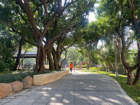 平整的公園步道，讓居民使用上更舒適及安全，擴大的綠帶讓樹木長得更好。(圖片來源：臺北市政府工務局公園路燈工程管理處)