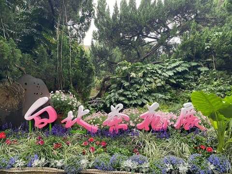 台北茶花展歡迎您(圖片來源：臺北市政府工務局公園路燈工程管理處)