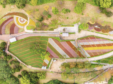 俯瞰大冠鷲地景示意圖(圖片來源：臺北市政府工務局公園路燈工程管理處)