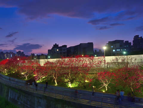 2025 LOHAS Cherry Blossom Festival