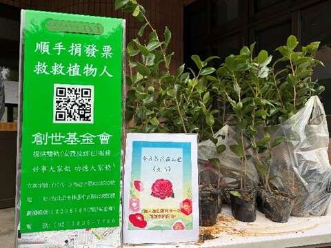 未開獎發票兌換茶花苗活動，讓活動兼具賞花與公益的意義(圖片來源：臺北市政府工務局公園路燈工程管理處)