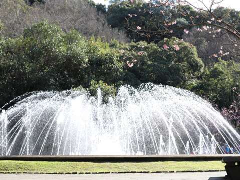 陽明公園噴水池(圖片來源：臺北市政府工務局公園路燈工程管理處)