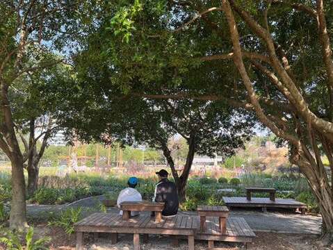 大安森林公園に新たな秘境「七彩星苑」が誕生