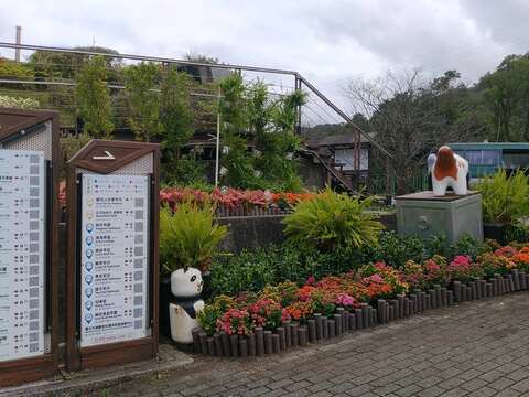 貓空貓纜站各色花朵塑形層次花帶(圖片來源：臺北市政府工務局公園路燈工程管理處)