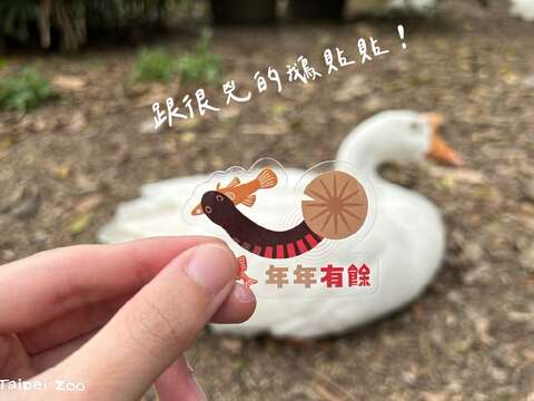 完成漫步健康動物園健走路線集到三個章，就可以兌換赤腹游蛇貼紙。(圖片來源：臺北市立動物園)