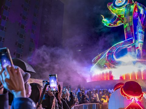 2025台北ランタンフェスティバル 4大展示エリアのランタンが煌めき登場！