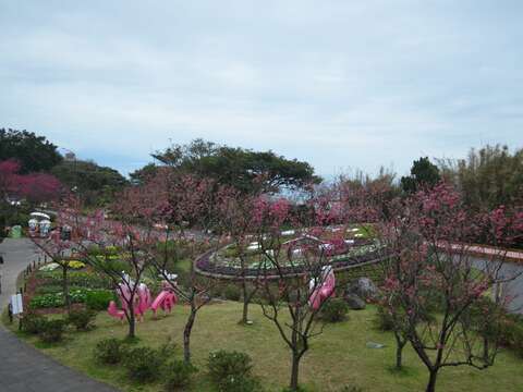 陽明公園花鐘廣場(拍攝日期114年2月6日)(圖片來源：臺北市政府工務局公園路燈工程管理處)