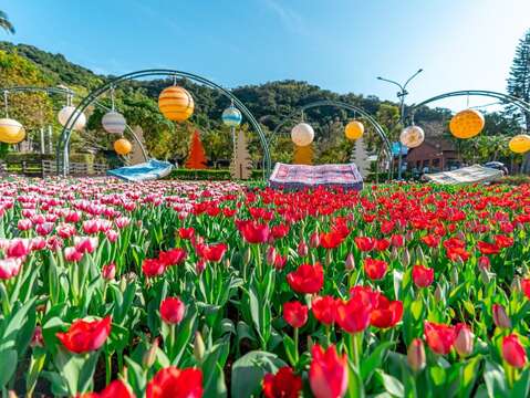 「香戀土耳其」以魔毯搭配滿滿的鬱金香花海呈現中東的浪漫風情(圖片來源：臺北市政府工務局公園路燈工程管理處)