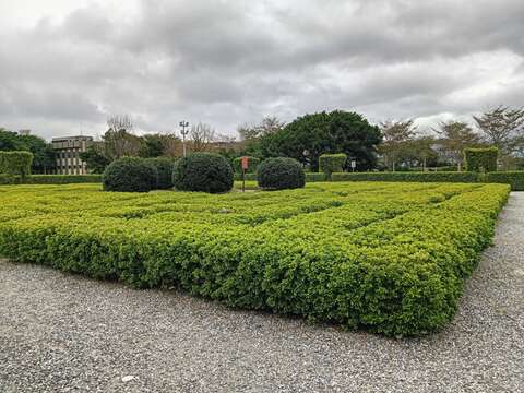 新生園區藏有充滿樹蘭清香的迷宮花園。(圖片來源:臺北市政府工務局公園路燈工程管理處)