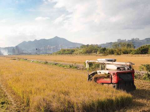 《台北作田人》以台北市最後的農田為題，記錄關渡平原僅存的農田地景。