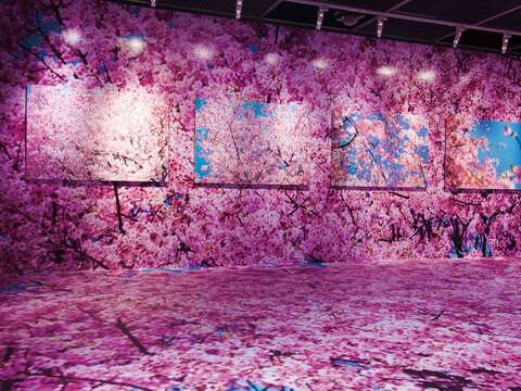 蜷川在311大地震後拍下了2,500張櫻花照片，彙集成「櫻系列」，把櫻花的美悉數捕捉、放大。（顏涵正攝）