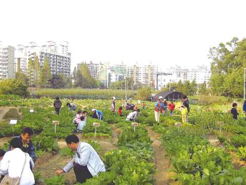 首爾設定於2018年要達到農耕土地面積增加近5倍的目標。(圖/Energy Globe Foundation (EGF)提供)