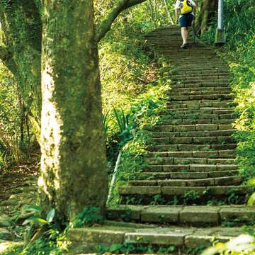 劍潭山親山步道屬「輕量級」，適合親子同遊。（施純泰攝）