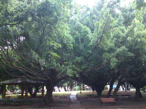 圖1.公園改善前1