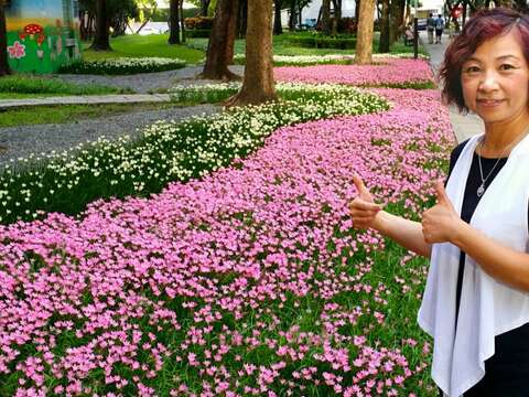 圖8.前港里陳瑞華里長與盛開韮蘭