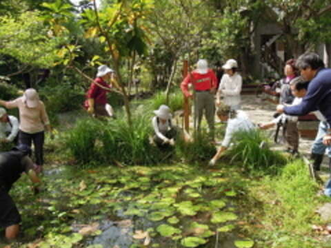 Visiting Waishuangxi Park for Eco-Themed Wetland Tour