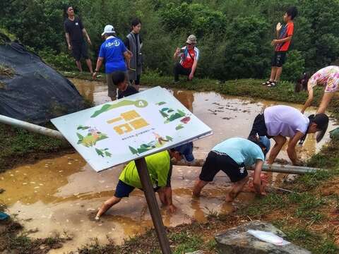 插秧闖關活動(圖片來源：臺北市政府工務局大地工程處)